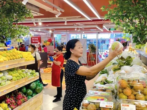 Doanh nghiệp bán lẻ nội địa trước làn sóng FDI: Cơ hội và thách thức