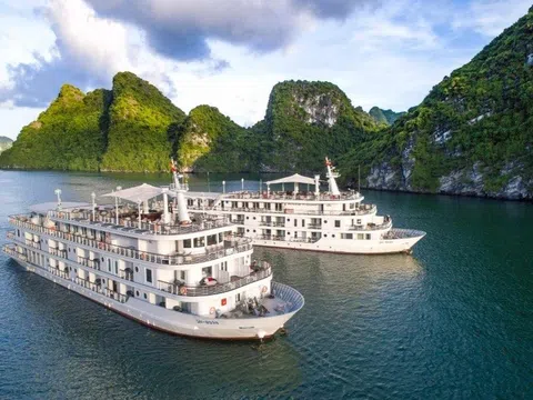 Nhân chứng trên du thuyền 5 sao Hạ Long kể việc khách Đài Loan tử vong