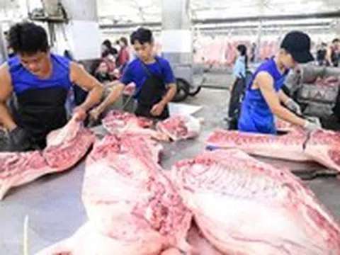Vì sao thịt heo bẩn vẫn lọt ra thị trường?
