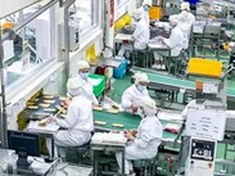 Giờ G điểm, doanh nghiệp cùng chạy đua