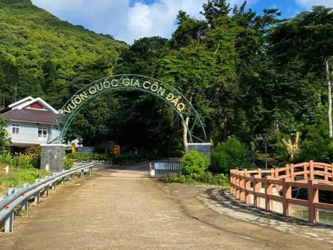 Giải pháp tăng nguồn thu hoạt động sự nghiệp tại Ban Quản lý Vườn quốc gia Côn Đảo