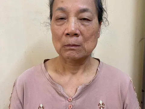 Bắt Mai Thị Hạ về hành vi lợi dụng quyền tự do dân chủ