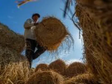Xem những bức ảnh về xứ dừa Bến Tre tuyệt đẹp của chàng trai Nguyễn Khánh Vũ Khoa