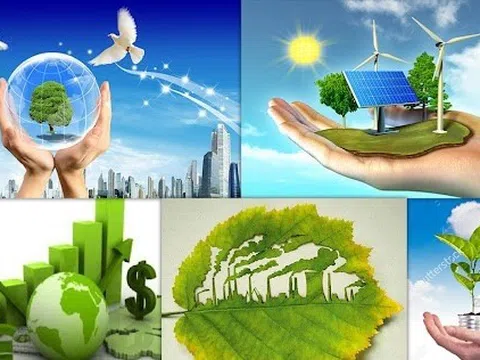 Vai trò điều tiết của đổi mới xanh trong mối quan hệ giữa phân cấp tài khóa và phát triển bền vững