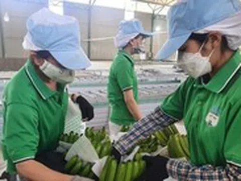 Hoàng Anh Gia Lai chậm trả lãi trái phiếu, sắp có hơn 1.000 tỉ thu nhập bất thường