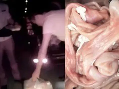 Đột kích chợ trong đêm, phanh phui cơ sở bán lòng lợn ngâm hoá chất doanh thu 7 tỷ đồng, tịch thu hàng trăm kg lòng sắp “tuồn” ra thị trường