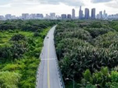 Mướt mắt rặng dừa, lau sậy xanh um giữa lòng Thủ Thiêm
