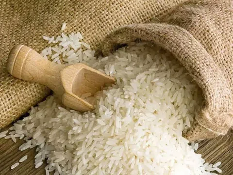 Lộc Trời tháp tùng Thủ tướng 'mở cánh cửa' cho gạo Việt ở đất nước 210 triệu dân