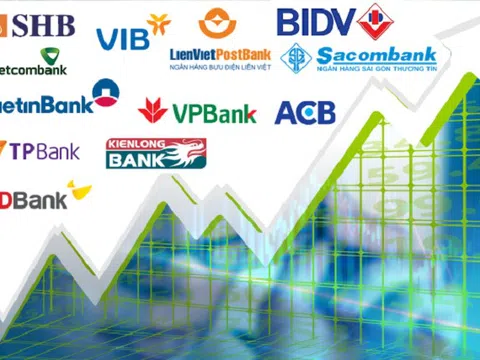 Các yếu tố ảnh hưởng đến lợi nhuận của ngân hàng thương mại cổ phần tại Việt Nam