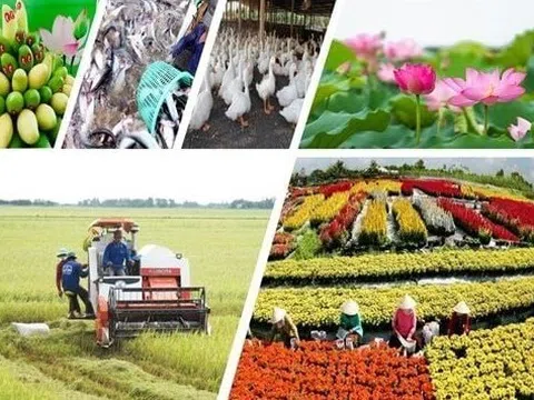 Phân tích các nhân tố ảnh hưởng đến thu nhập hộ gia đình ở các xã nông thôn mới tỉnh Đồng Tháp