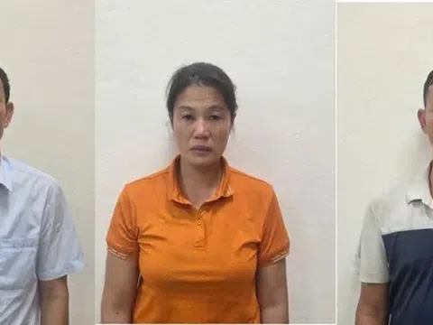 Bắt Giám đốc Công ty Lâm nghiệp Hoành Bồ cùng hai thuộc cấp