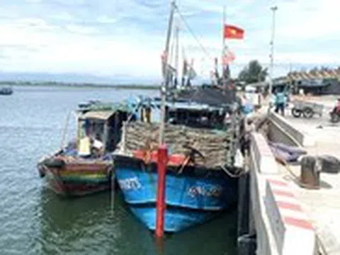 Hai thuyền trưởng tàu cá ở Quảng Ngãi bị phạt hành chính 125 triệu đồng