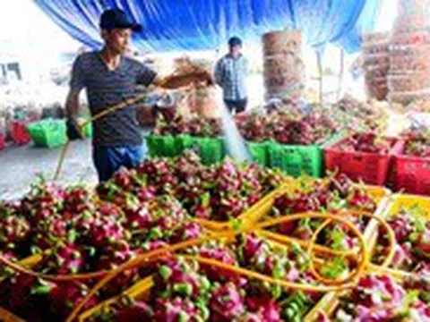 Xuất khẩu đi châu Âu gặp khó vì thiếu chứng nhận an toàn thực phẩm