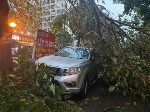 Chùm ảnh: Đường phố Hà Nội tan hoang sau cơn giông kinh hoàng, cây xanh bật gốc và gãy đổ hàng loạt