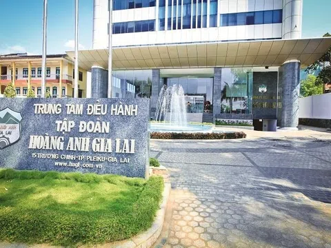 Danh tính 6 trái chủ sắp hoán đổi 2.520 tỷ đồng nợ của HAGL thành cổ phiếu: Chủ nợ lớn nhất là công ty liên quan đến hệ sinh thái Hướng Việt
