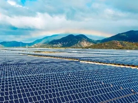 Điện mặt trời Trung Nam - Thuận Nam lãi ròng hơn 138,2 tỷ đồng trong năm 2024, lỗ lũy kế giảm xuống 849,3 tỷ đồng