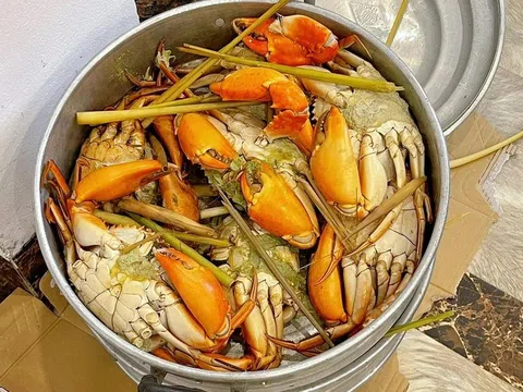 Gia đình ở Hà Nội mang 15kg cua, 100 quả trứng du lịch Sầm Sơn