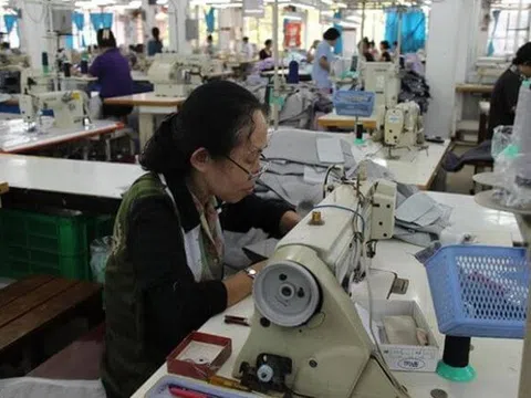 Thúc đẩy sử dụng lao động cao tuổi trong doanh nghiệp trước bối cảnh già hóa dân số