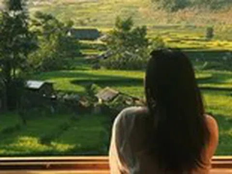 Khung cảnh 'tuyệt đối điện ảnh' mùa lúa xanh ở Sa Pa