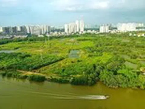 Hai đại gia mới cho Quốc Cường Gia Lai vay 230 tỉ đồng là ai?