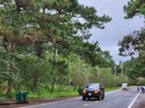 Măng Đen cảnh báo tình trạng lấn chiếm đất công, siết chặt quản lý để phát triển du lịch bền vững