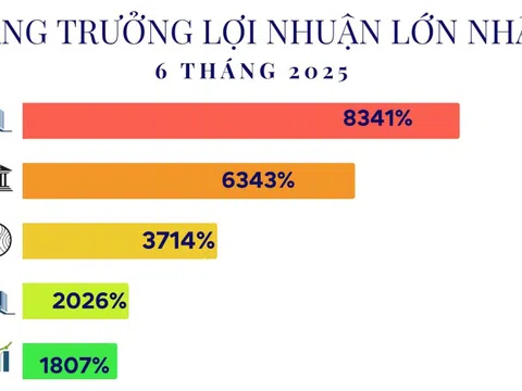 15 công ty tăng trưởng lợi nhuận 'khủng' nhất 6T2025: Đứng đầu là doanh nghiệp của tỷ phú Phạm Nhật Vượng, ngành điện góp mặt nhiều nhất