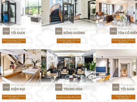 Gu lựa chọn thang máy gia đình của giới "nhà giàu" Việt Nam