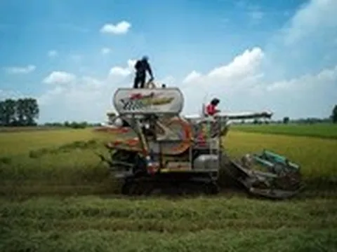 Việt Nam vượt Thái Lan trở thành nước xuất khẩu gạo lớn thứ hai thế giới