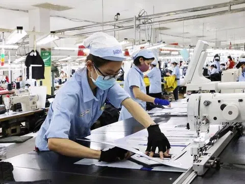 Xu hướng thu nhập cá nhân người lao động trong các doanh nghiệp nhỏ và vừa ở Việt Nam