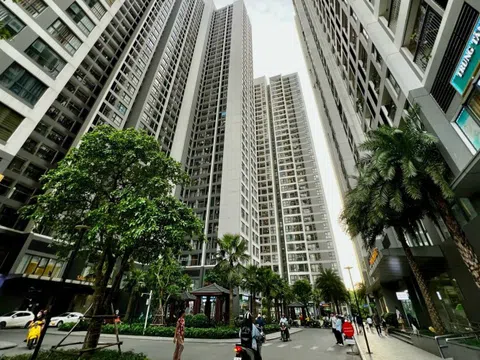 Tin tức sáng 6-8: Căn hộ giá 50 triệu đồng/m² ở Hà Nội có nguy cơ biến mất
