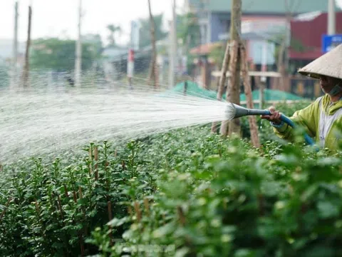 Giải pháp bảo đảm sinh kế bền vững cho hộ nông dân vùng ven TP. Huế trong bối cảnh đô thị hóa(*)