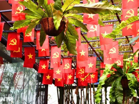 Ở lại TPHCM dịp Quốc khánh 2/9, đi đâu để hòa vào không khí rộn rã?