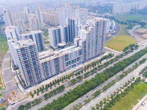 Lai lịch đại gia bất động sản nợ thuế hơn 3.200 tỷ đồng, chiếm gần 70% tổng nợ thuế của Tp.HCM