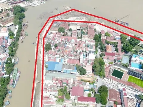 Bắt nguyên Tổng Giám đốc của nhà thầu xây dựng nổi tiếng Hải Phòng