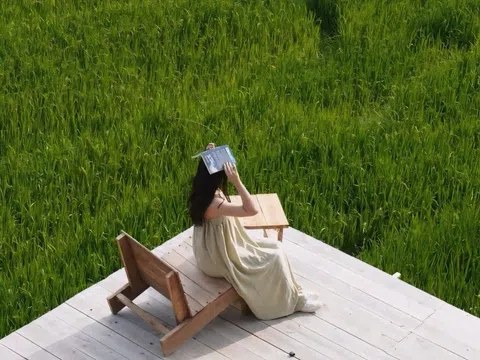 Quán cà phê giữa ruộng bậc thang gây 'sốt' ở Sa Pa