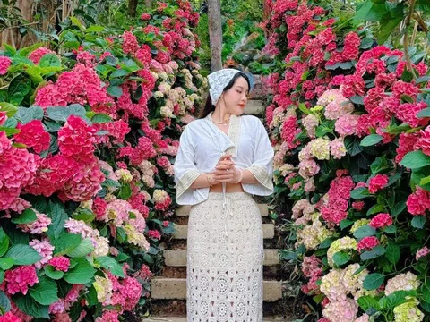 "Lối mòn cổ tích" gây sốt giới trẻ, hóa ra là điểm đến quen thuộc ở Đà Lạt
