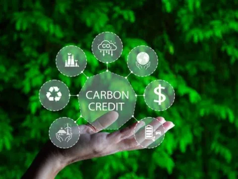 Thực trạng thị trường tín chỉ carbon vùng Trung du và miền núi phía Bắc(*)