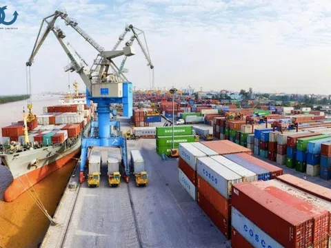 Kết quả tổ chức bền vững thông qua lãnh đạo số và văn hóa số: Nghiên cứu tại các doanh nghiệp giao nhận TP. Hồ Chí Minh