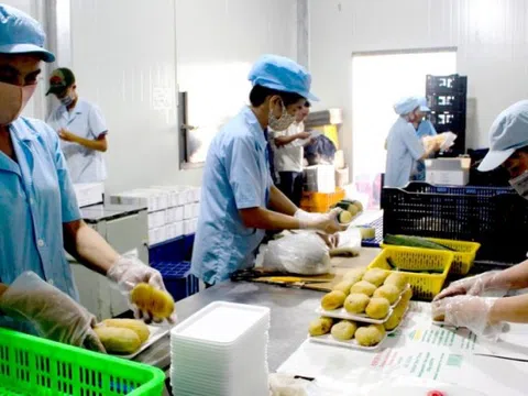 Các yếu tố ảnh hưởng đến kết quả kinh doanh của doanh nghiệp nhỏ và vừa tại Hà Nội