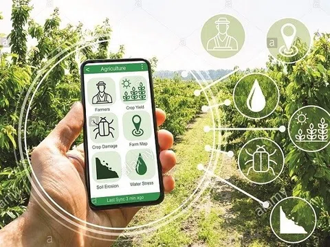 Các yếu tố ảnh hưởng đến hành vi chuyển đổi số trong hợp tác xã tại tỉnh Quảng Ngãi(*)