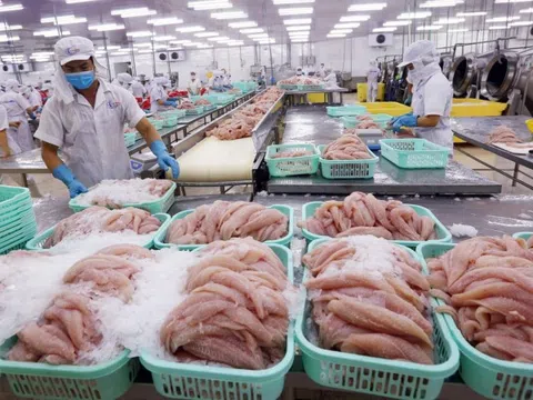 Nhận diện các yếu tố ảnh hưởng tới chuỗi cung ứng ngành thủy sản vùng Đồng bằng sông Cửu Long(*)