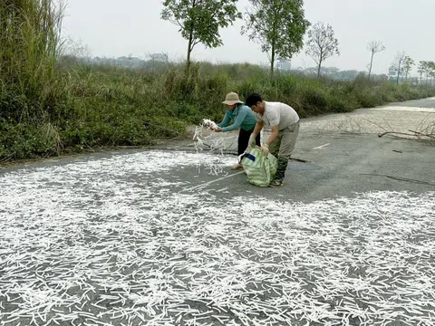 Sửa Luật Đất đai, khơi thông nguồn lực