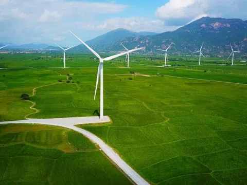 Vai trò của kinh tế xanh trong phát triển kinh tế vùng