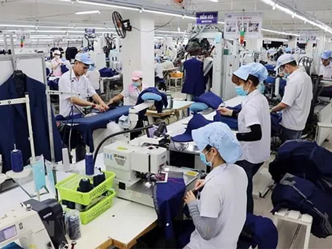 Quản trị nhân lực logistics Việt Nam: Thách thức và cơ hội trong kỷ nguyên số