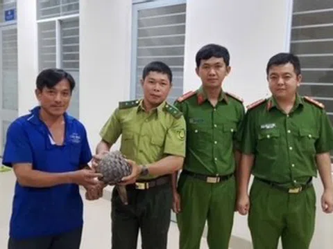 Phát hiện con tê tê quý hiếm nặng 4kg trên đường ở Tây Ninh