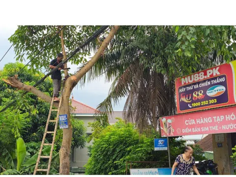 Hà Tĩnh - Quảng Trị: Tập trung di dời dân trước bão số 5