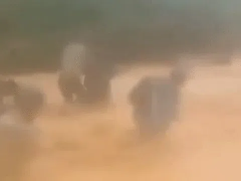 Clip cán bộ xã ở Nghệ An vượt nước lũ đục ngầu di dân trong mưa gió