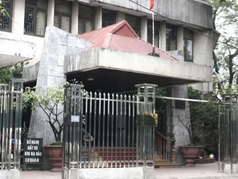 Viện Nghiên cứu Hán Nôm lên tiếng về trường hợp TS Hoàng Phương Mai