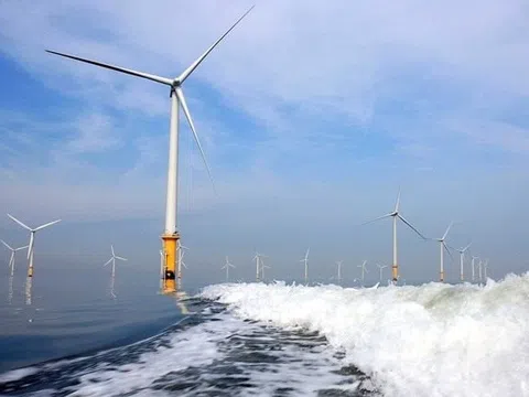 Cơ Điện Lạnh (REE) trúng thầu 2 dự án điện gió công suất 80 MW, tổng mức đầu tư 3.860 tỷ đồng tại Vĩnh Long