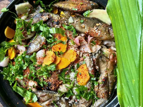 Sau bão, dân Quảng Trị đổ ra đồng bắt cá